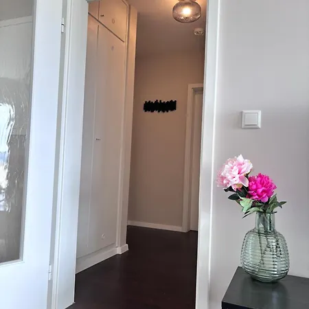 Raum2go - No2 Zentrales 2-zimmer Design&blick Appartement